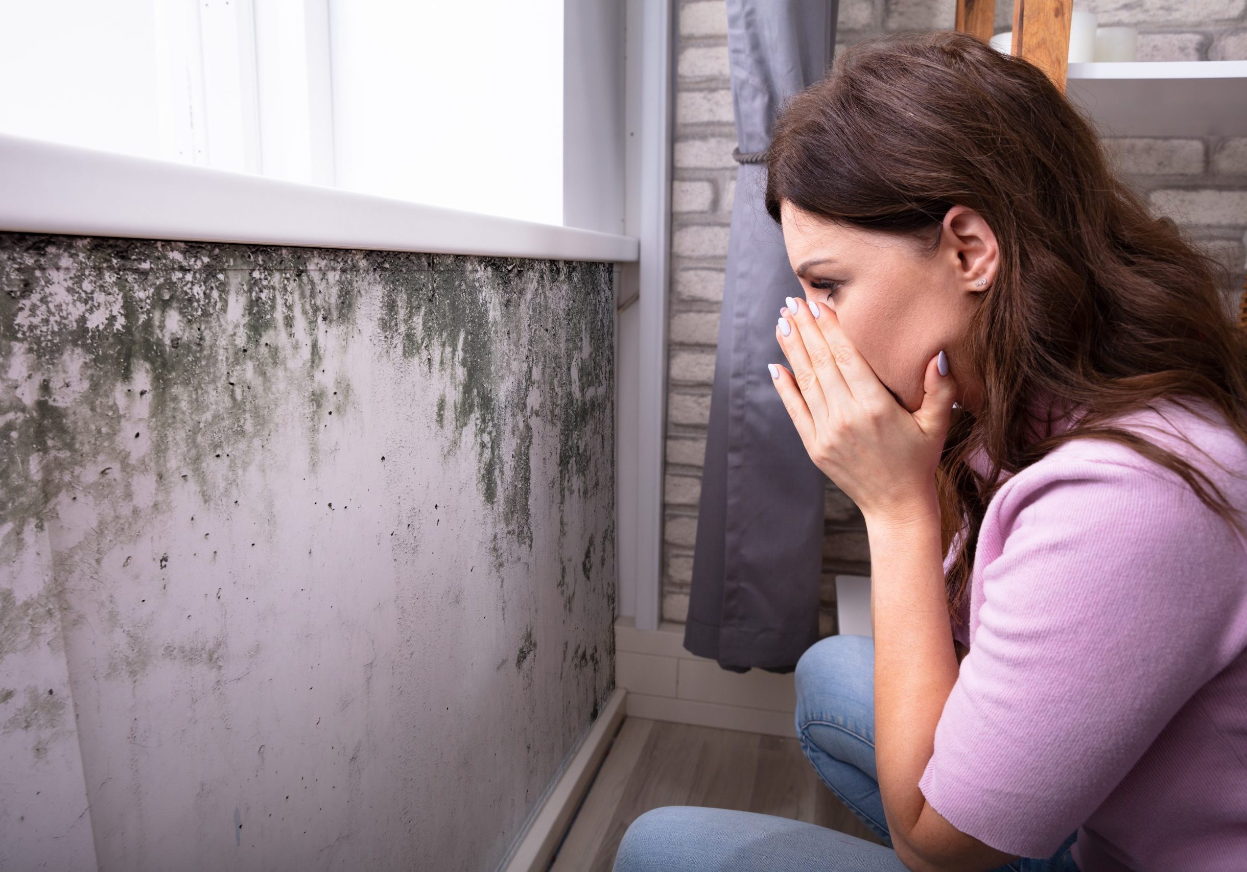 Side View Of A Shocked Young Woman Looking At Mold On Wall